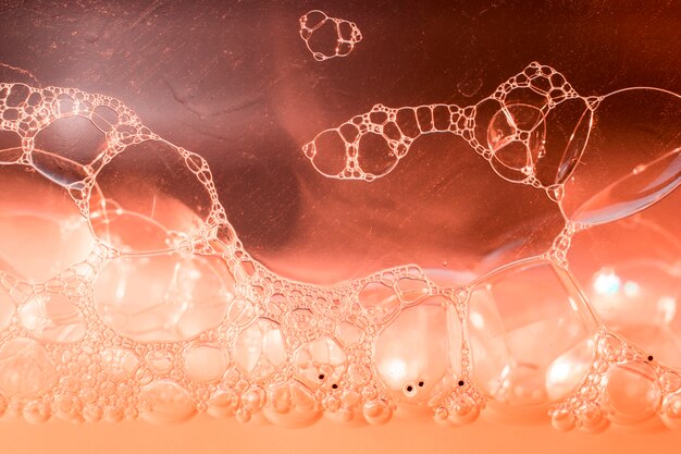 Jak peptydy wpływają na procesy regeneracyjne w organizmie?